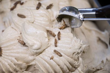 Krabbeltierchen mit Sahne? Eisverkäufer setzt auf Insekteneis