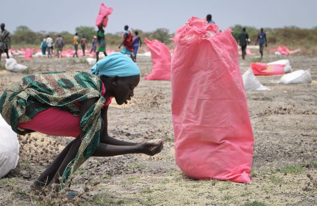 Eine Frau sammelt Hirse vom Boden auf, die in Säcken vom Welternährungsprogramm (WFP) der Vereinten Nationen über Kandak im Südsudan abgeworfen wurden.