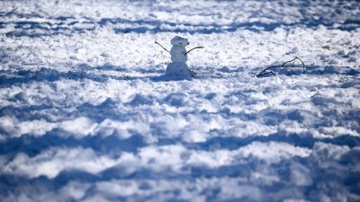 Kinder bauen Schneemann auf Gleisen: Notbremsung von Zug