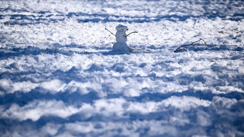 Ein kleiner Schneemann steht im Sonnenschein auf einer Wiese im Stadtpark der Hansestadt Hamburg.