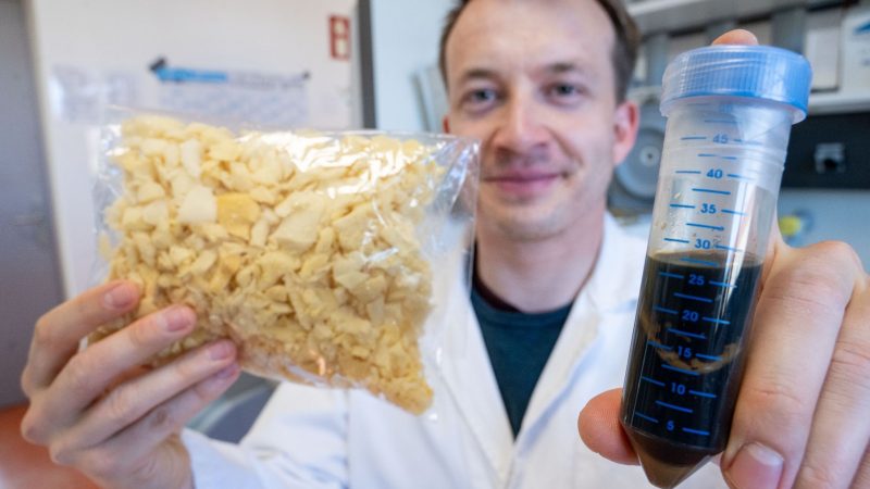 Yannick Branson vom Institut für Biochemie der Universität Greifswald: Im Kampf gegen Plastikabfall setzen Forscher vermehrt auf Enzyme, die manche Kunststoffe quasi verdauen können.