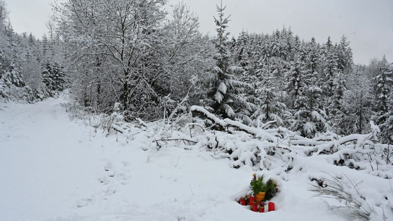 Unbekannte haben am Fundort der ermordeten Luise Blumen aufgestellt.