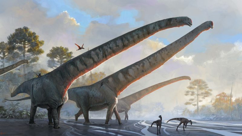 Die undatierte Illustration des Natural History Museums zeigt «Mamenchisaurus sinocanadorums».