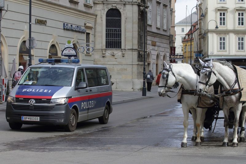 Ein Polizeiwagen neben einem Fiaker vor dem Wiener Stephansdom.
