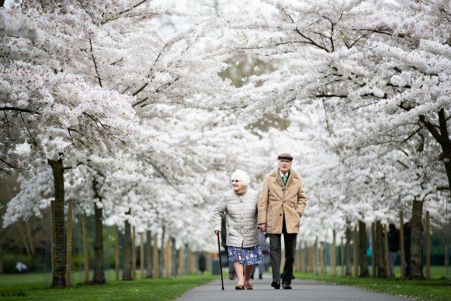 Trotz körperlicher Beschwerden und Krankheiten sind ältere Menschen in der Regel glücklicher und zufriedener als mittelalte Erwachsene.