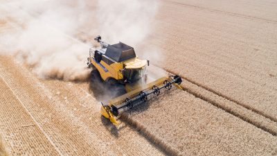 Bauernverband: Stark unterdurchschnittliche Getreideernte