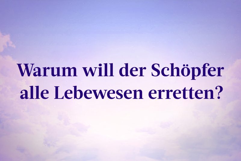 Warum will der Schöpfer alle Lebewesen erretten?