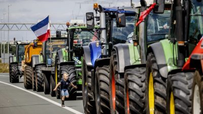 Niederländischer EU-Abgeordneter: „Die Landwirte müssen jetzt wirklich kämpfen“