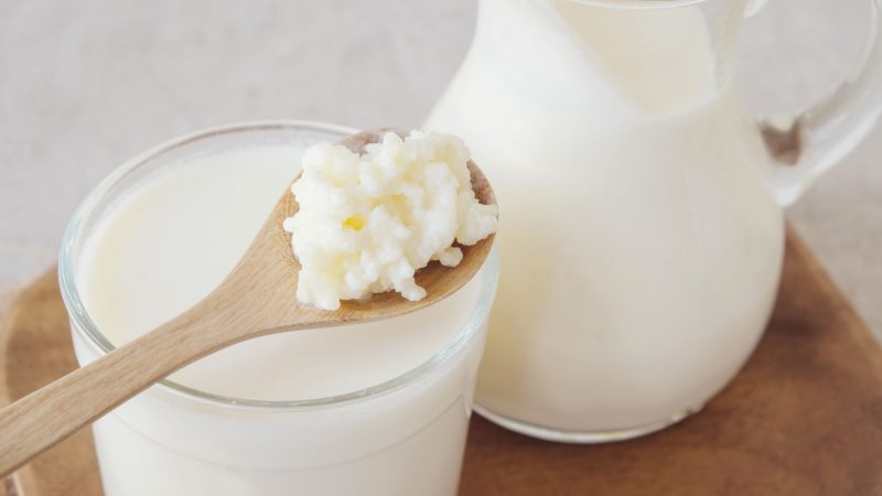 Kefir: Das gesunde Milchgetränk