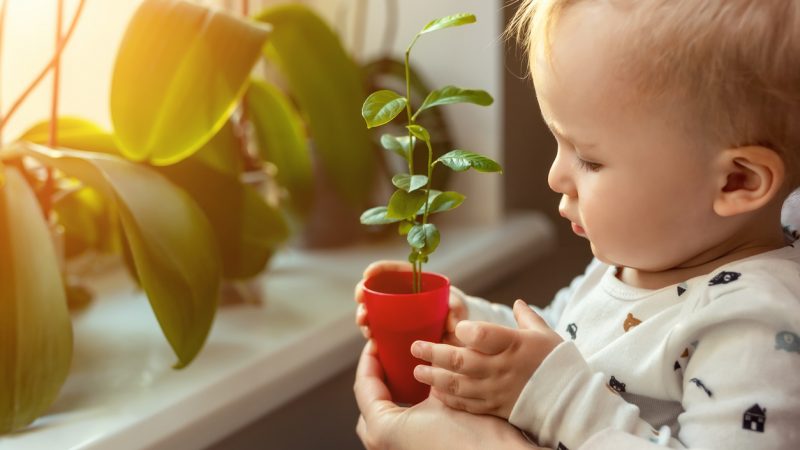 Schon von klein auf kann man einen achtsamen Umgang mit Pflanzen lernen.