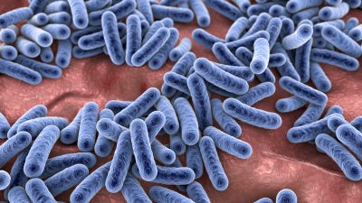 Antibiotika-Verwendung und Mikrobiom: Wie die moderne Medizin neue Wege gehen muss