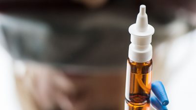 Nasenspray-Impfung gegen Corona: Test an Hamstern