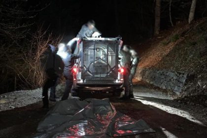 Nach tödlicher Attacke auf Jogger: Bärin JJ4 eingefangen