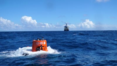 Forscher aus Ecuador, den USA und Großbritannien fanden das einzigartige Ökosystem bei einem Tauchgang mit einem U-Boot während der Expedition Galápagos Deep 2023 in der Mitte des Archipels.