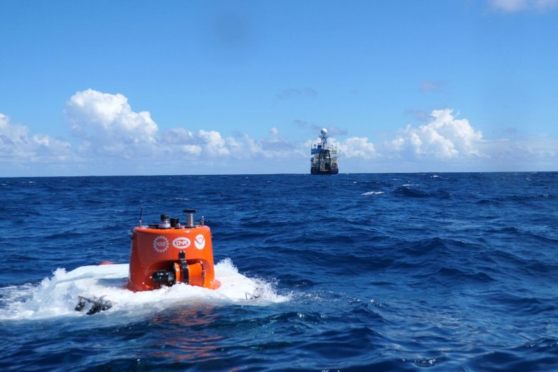 Forscher aus Ecuador, den USA und Großbritannien fanden das einzigartige Ökosystem bei einem Tauchgang mit einem U-Boot während der Expedition Galápagos Deep 2023 in der Mitte des Archipels.