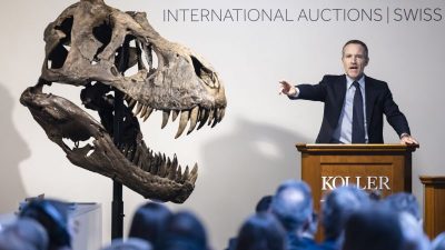 Seltenes T-Rex-Skelett für Millionensumme versteigert