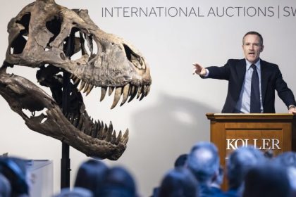 Seltenes T-Rex-Skelett für Millionensumme versteigert
