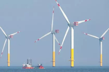 „Weltpremiere“: Niederlande drosseln Windräder für Zugvögel