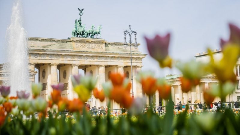 Tulpen blühen vor dem Brandenburger Tor und verleihen der Hauptstadt Frühlingsgefühle. Angenehme Temperaturen laden am langen Wochenende zu Ausflügen ein.