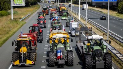 Niederlande: EU-Gelder sollen „freiwillige Schließung“ von „Stickstoffbetrieben“ erleichtern