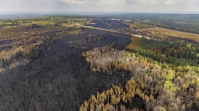 Provinz Alberta: Regen in Waldbrandgebieten Kanadas