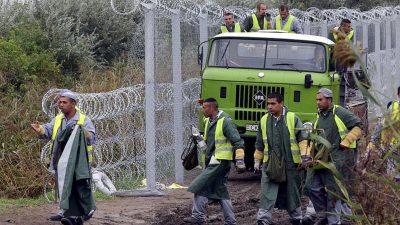 700 Menschenschmuggler von Ungarn abgeschoben: „Die EU will nicht zahlen, aber wir auch nicht“