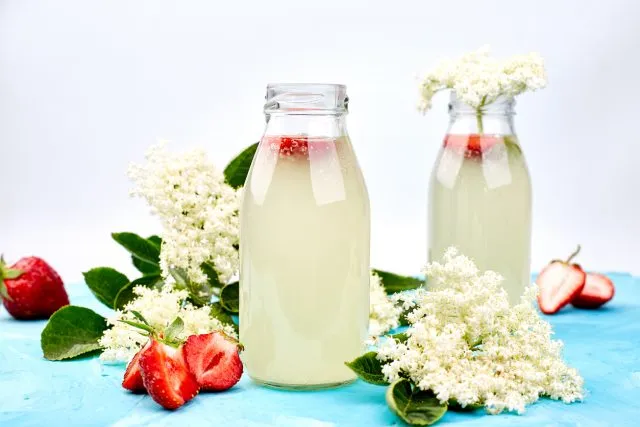 Holunderblüten ergeben mehr als ein erfrischendes Sommergetränk.