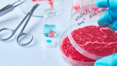 Laborfleisch drängt auf den Markt – Ökobilanz jedoch noch nicht absehbar