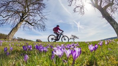 Vor dem Start in den Frühling: Fahrrad reinigen und Bremsen testen