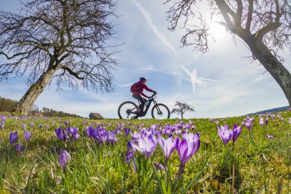 Mit dem langen Wochenende kommt der Sommer