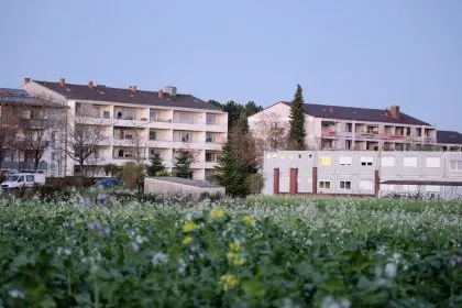 post-image