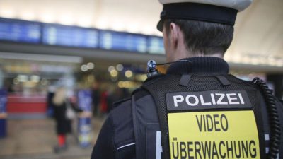 AfD fordert mehr Polizisten auf Bahnhöfen und in Zügen