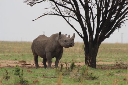 Südafrika: Deutscher Tourist von Anhalter ausgeraubt und getötet