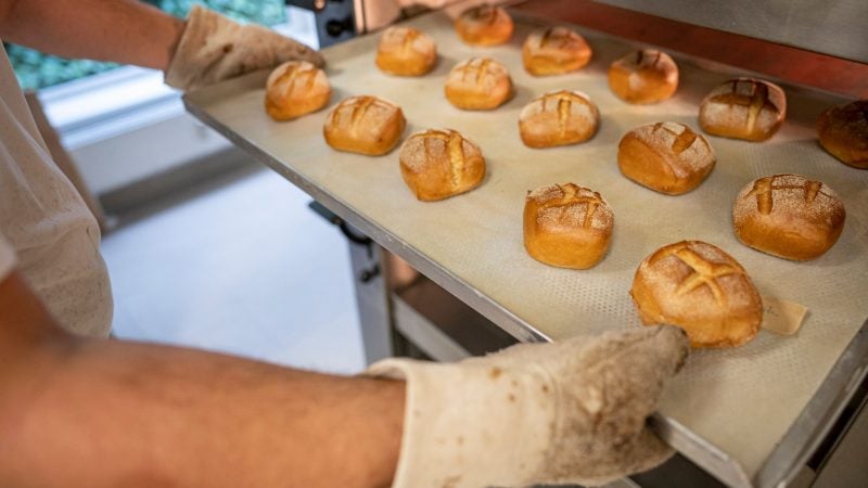 Eine Person schiebt ein Blech mit Brötchen in den Ofen.