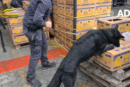 Kokainschmuggel im Tonnenbereich: Haftstrafen für Bande