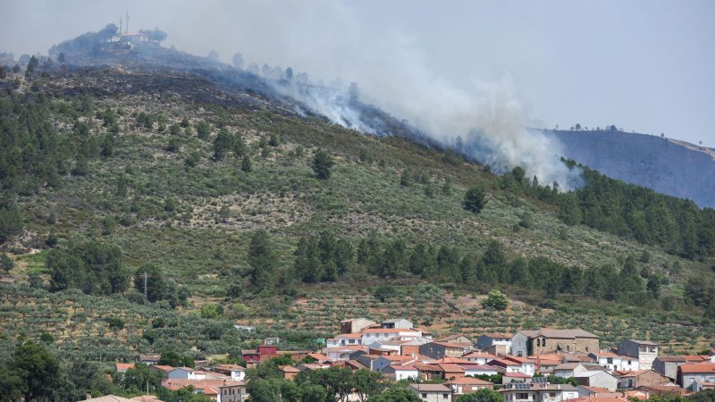 Blick vom spanischen Ort Torrecilla de los Angeles auf den Brand.