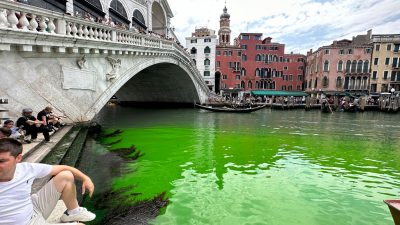 Grasgrün: Canal Grande in Venedig an der Rialtobrücke verfärbt