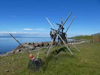 Getrockneter Fisch am Fjord, Foto Lydia Roeber