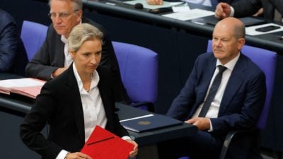 Scholz bei Kandidatur unter Druck – AfD im Merz-Dilemma