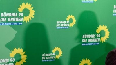 Allensbach-Umfrage: Grüne werden immer negativer gesehen