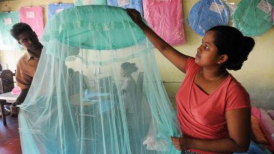 Dengue-Fieber breitet sich in Sri Lanka aus – trotz Mückenprojekts von Bill Gates