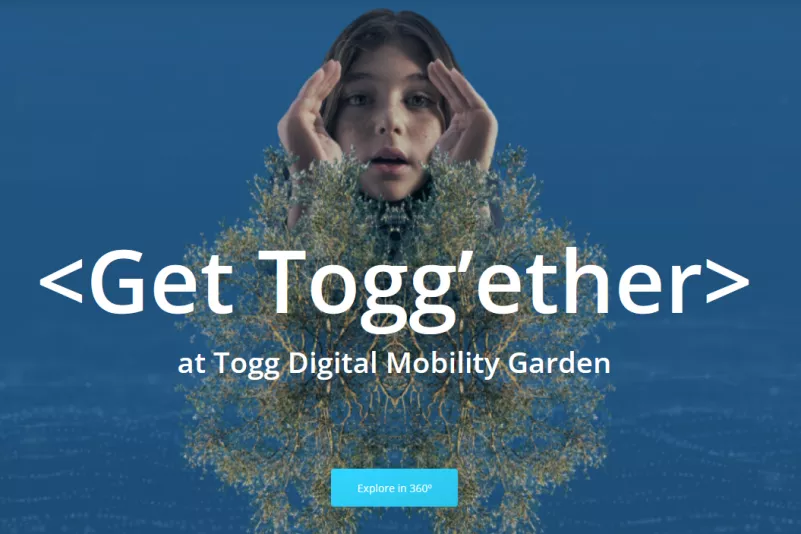 top-article-image