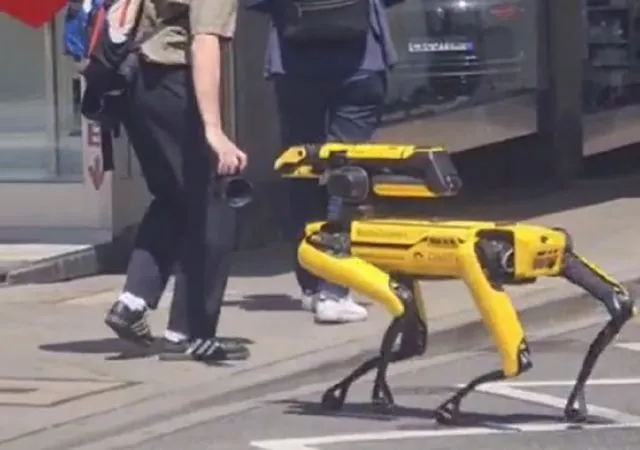 Ein Roboterhund spazierte Ende Mai mitten durch die Mannheimer Innenstadt.