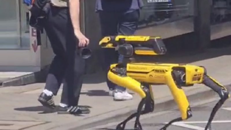 Ein Roboterhund spazierte Ende Mai mitten durch die Mannheimer Innenstadt.