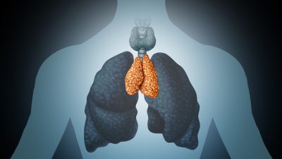 Das vergessene Organ: Der Thymus und seine Wirkung auf unser Immunsystem