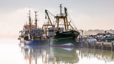 „Big Brother“ auf hoher See: EU fordert Kameras an Bord von Fischereifahrzeugen