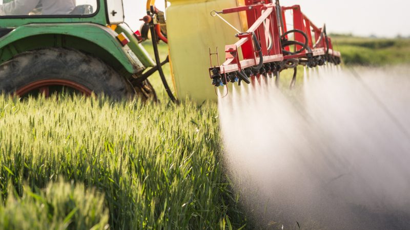 Der Einsatz von Pestiziden wie Chlormequat im Getreidefeld stößt nicht überall auf Zuspruch.