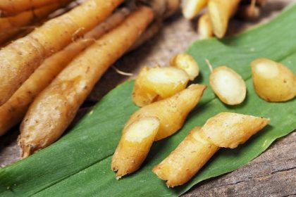 Krebspatient nach Einnahme von amerikanischem Ginseng aus tiefem Koma erwacht