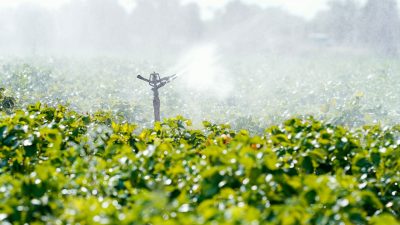 Dürren: Landwirte müssen vermehrt für Wasser zahlen