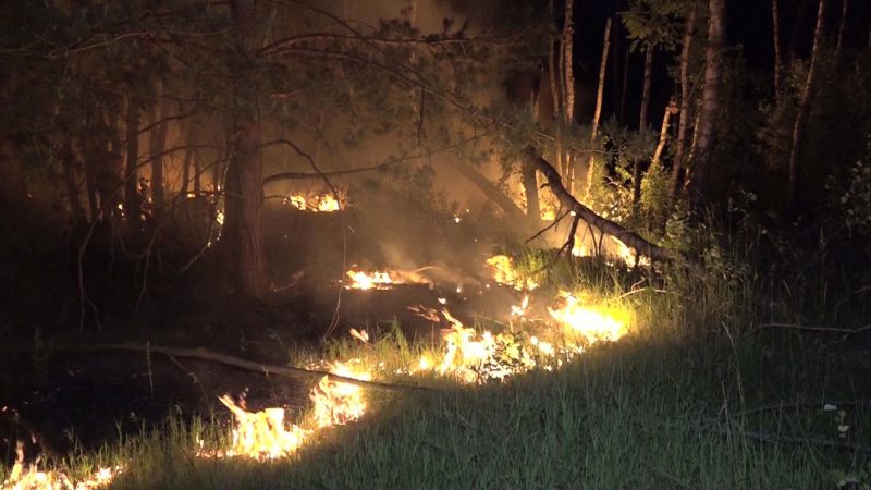 In der Nacht fressen sich die Flammen langsam vorwärts bei einem Waldbrand in einem munitionsbelasteten Gebiet bei Jüterbog.